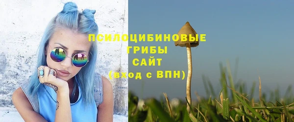 гидра Абдулино